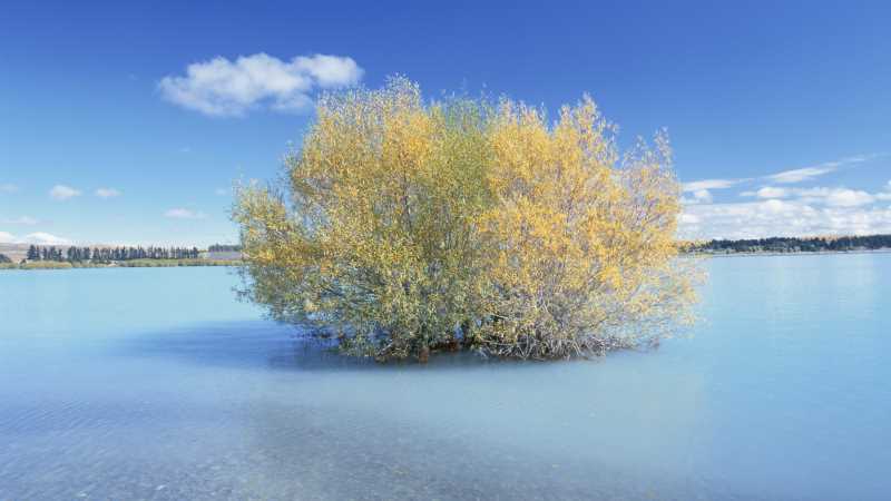 虚拟机VirtualBox安装MAC，OS，10.12图文教程