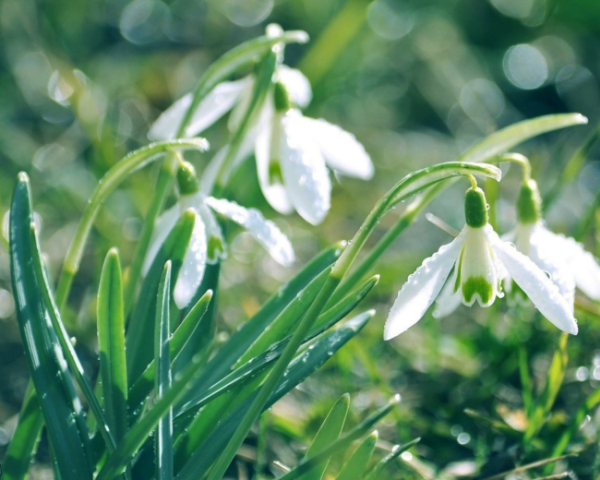 湿热阴虚舌苔厚白腻怎么办