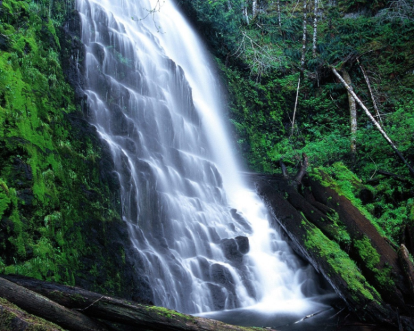 舌苔厚白腻有裂纹怎么办