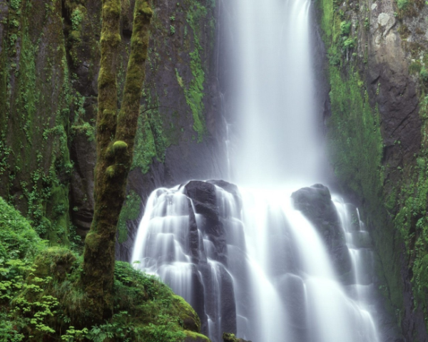如何写宾馆简介文案