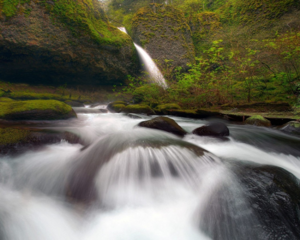 小儿脾胃调理的中药方剂，健脾胃去湿气的中药方