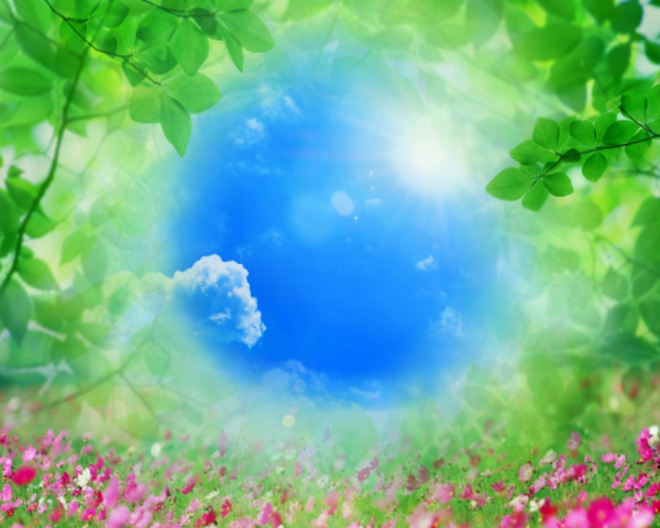 高血压，中药药方大全配方