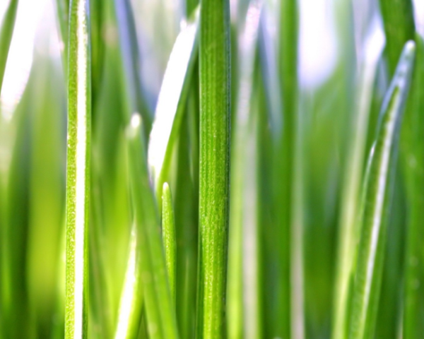 体力不好肾虚怎么办女性