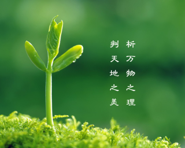 对于孩子如何不焦虑，洲际导弹军