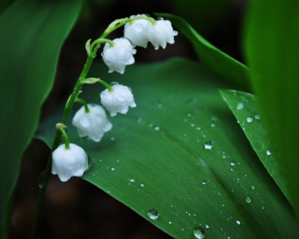 LEGO机器人发展史