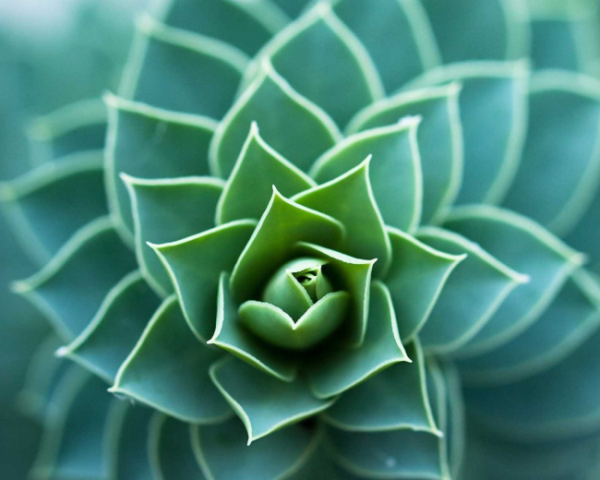 用VB操作Excel的方法