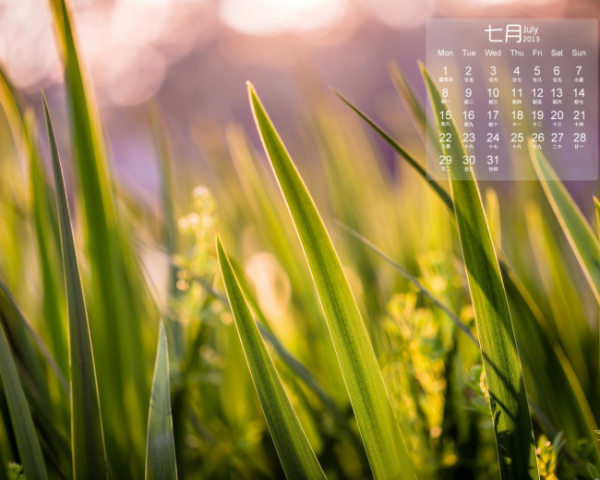 女肾虚尿频尿多怎么办