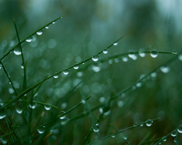 Windows里面的hosts文件