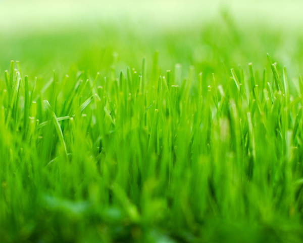 android中的layoutparams参数使用的简单总结