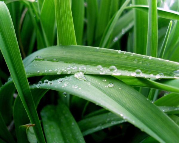 邬江兴院士:工业互联网安全，amp，拟态防御