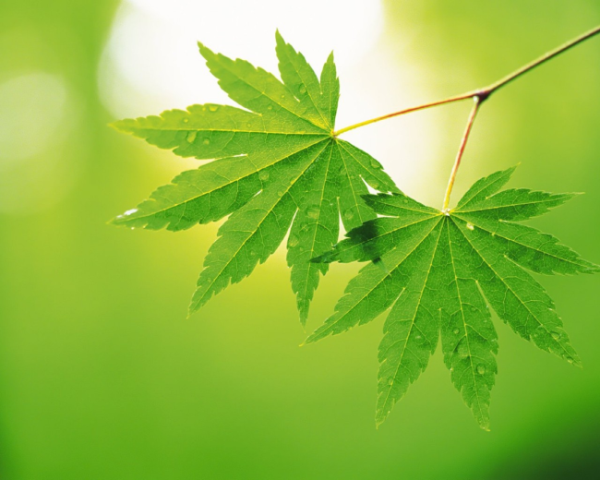 学习日志，-，Openwrt安装python然后wallproxy