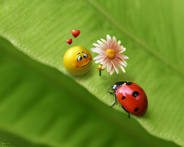 container_of用法及实现