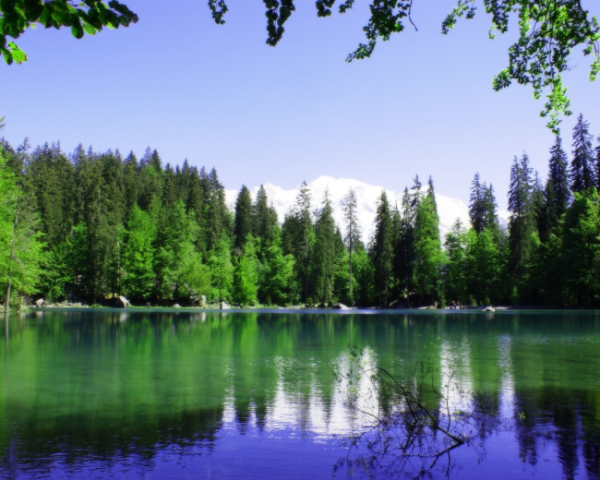 宝宝积食舌苔白厚怎么办，夏季预防感冒吃什么水果