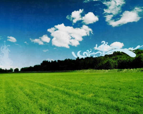 水果葫芦娃营养成分