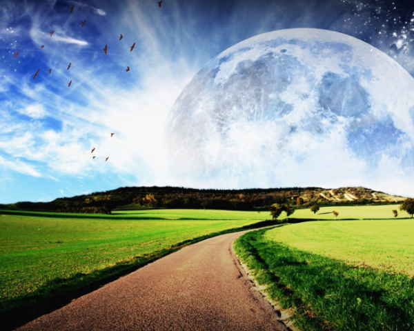 调理脾胃泡脚中药方，很贵的养生中药材有哪些