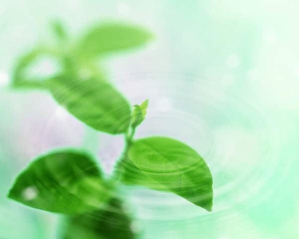 sql编程介绍触发器