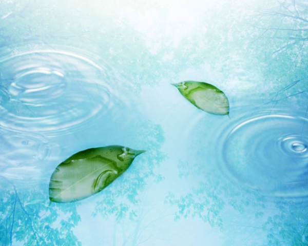 蔬菜水果冻干营养成分表