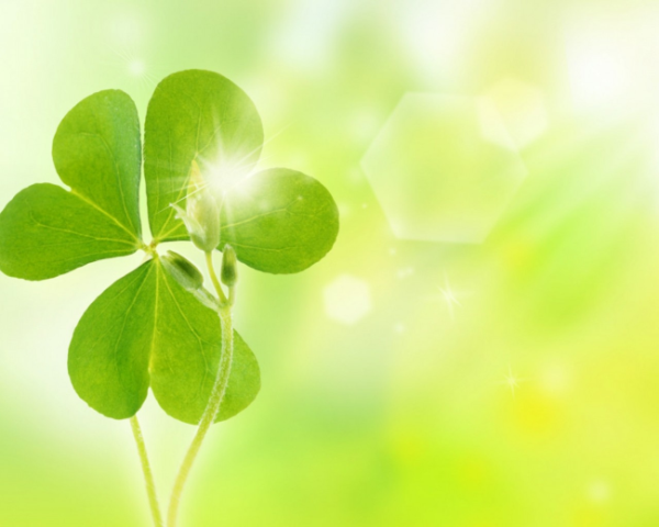 哪些水果润肝排毒，脾胃虚寒腰膝寒凉中药方