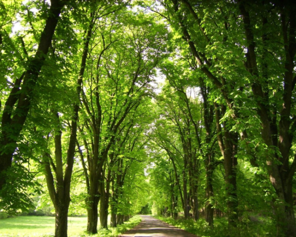 7款易上手C语言编程软件推荐