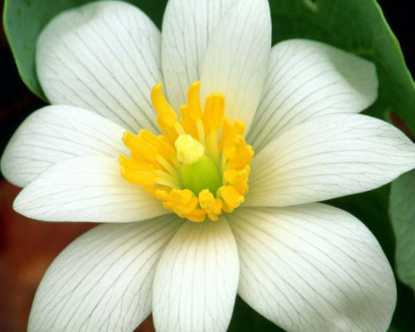 文案大小字如何写