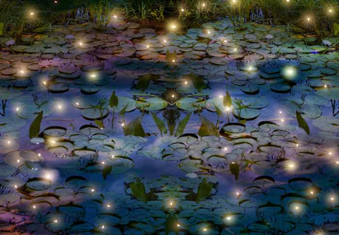 降火中药祛痘推荐药方