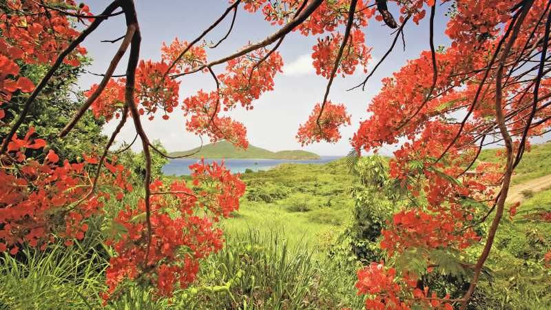 java中定时器的四种方法