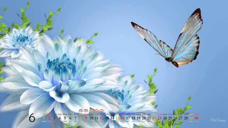 debian配置本地apt源