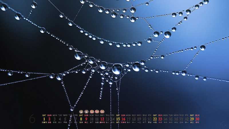 丰胸补脾胃的中药方子