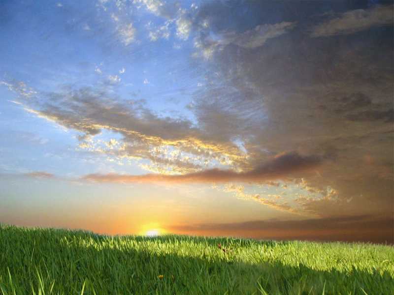 脾胃消瘦的中药方子