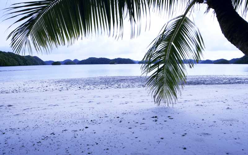 三岁多舌苔中间白厚怎么办