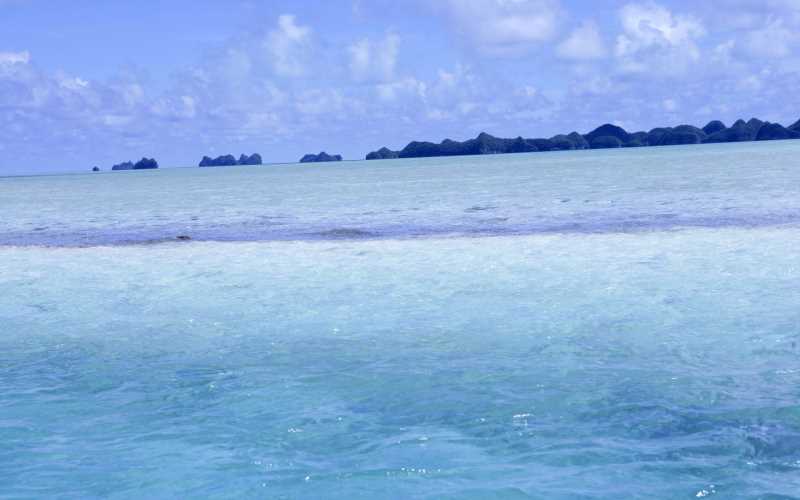 调理脾胃抗肿瘤的中药方子