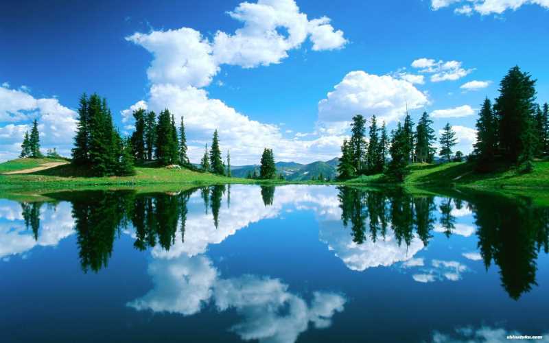 15岁男童舌苔白厚怎么办，水果营养成分报告表模板