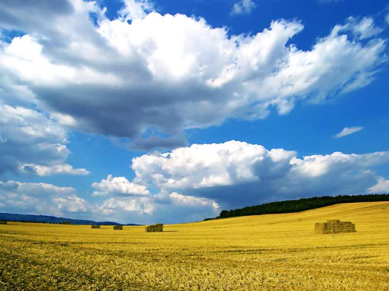 脾虚特别爱出汗怎么办呢