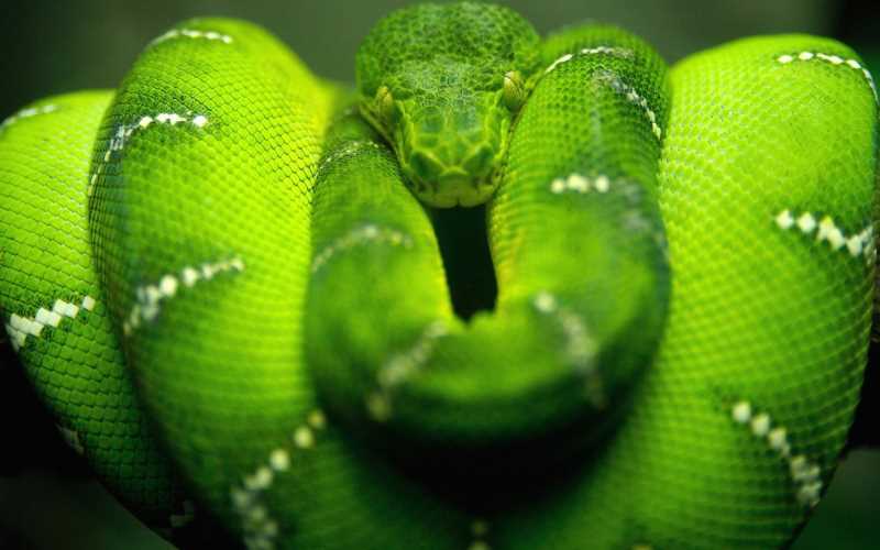 高血压中药方打粉，活血散瘀通血管中药方子