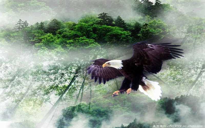 幼儿健脾胃消食中药方剂大全