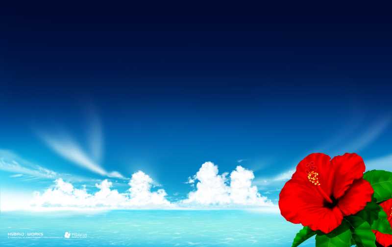 减肥排毒又养颜的水果