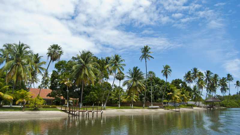 烘干的水果还有维生素c吗