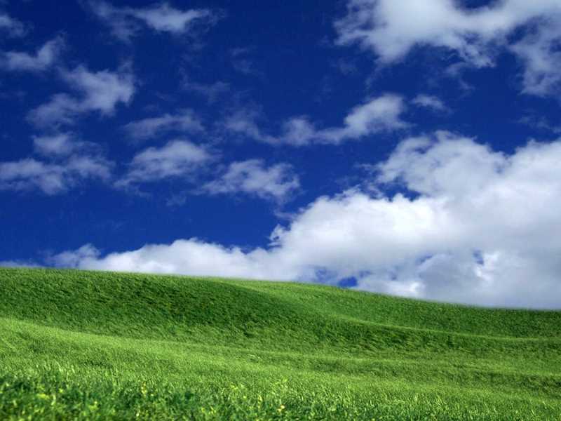 致敬冬奥电影，中国邮政网络学院