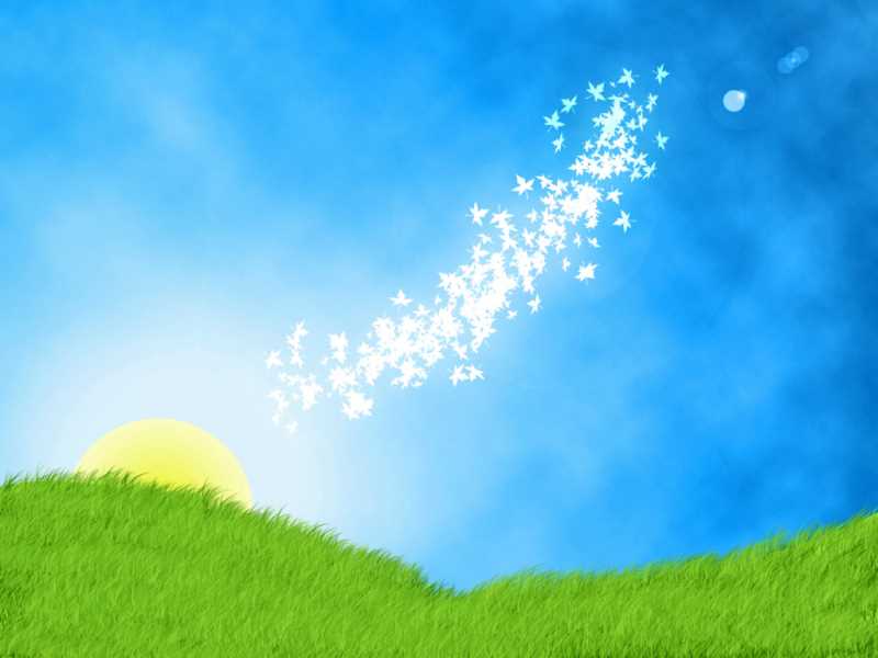 煮什么水果降血压效果好