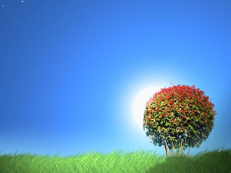 AIX，系统参数配置