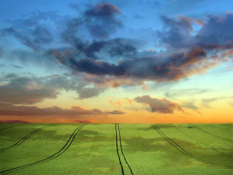 水果多久发酵完成营养成分，舌苔厚白嘴酸怎么办