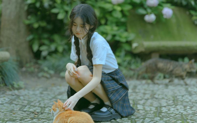 上海二次元动漫游戏社 上海二次元动漫游戏社